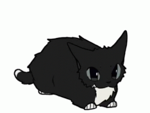 Maxwell the cat Meme//CCE