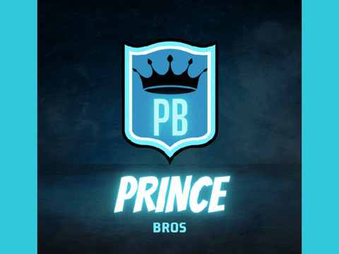 If me and my brother had a gaming channel