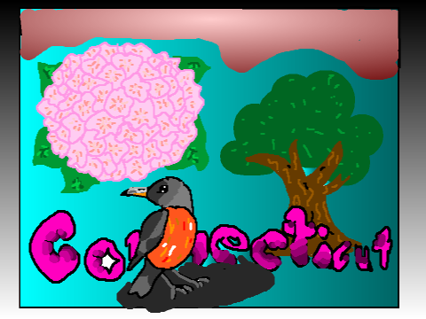 Connecticut postcard with state flower bird and tree