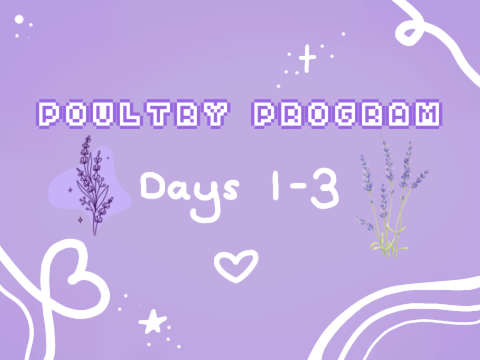 poultry program - days 1 - 3