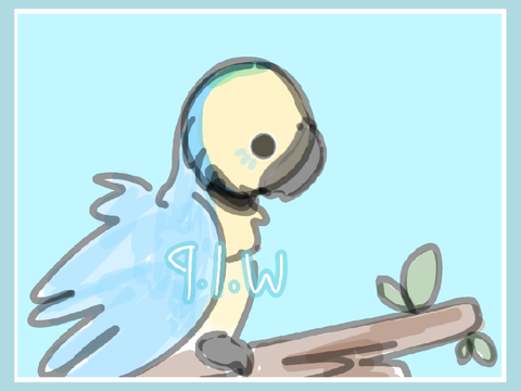 Blue and Gold Macaw | Day 4