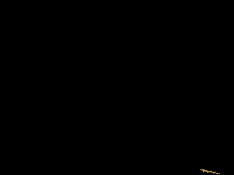 [NEW SHARKS] [BETA] project catshork