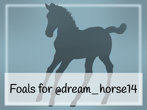 Foals for @dream_horse14