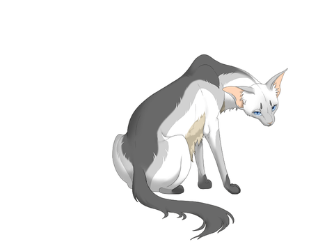 Shadowpelt