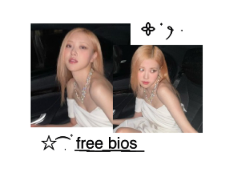 bios for lazy ppl 