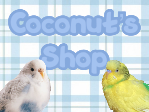 Coconut’s Shop (Closed)