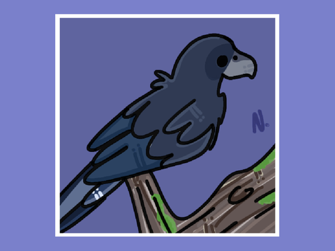 Raven [Prize 4]