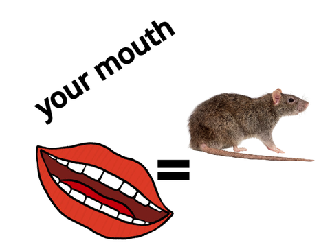 your mouth