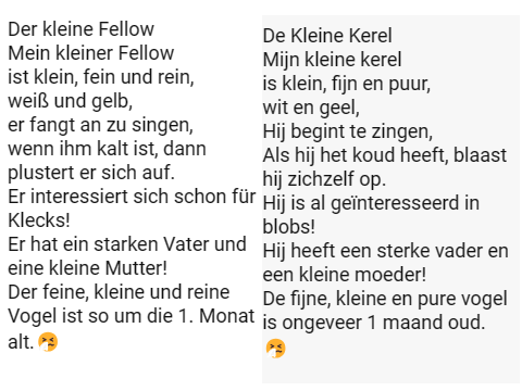 Fellow-Text dutch