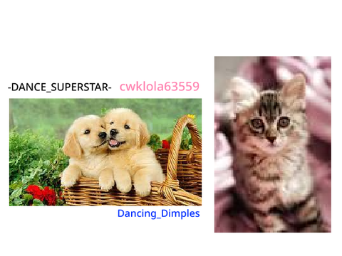 Dogs or Cats remix and sign by which one you like better.