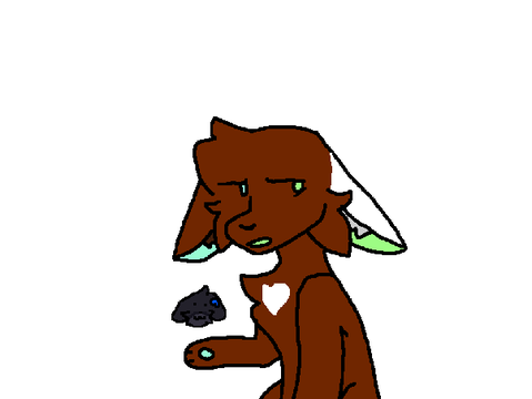 Short Animation!