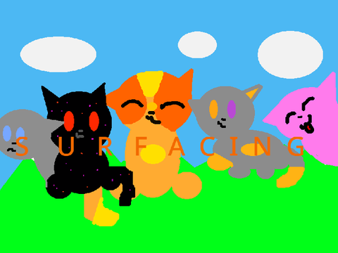 My entry
