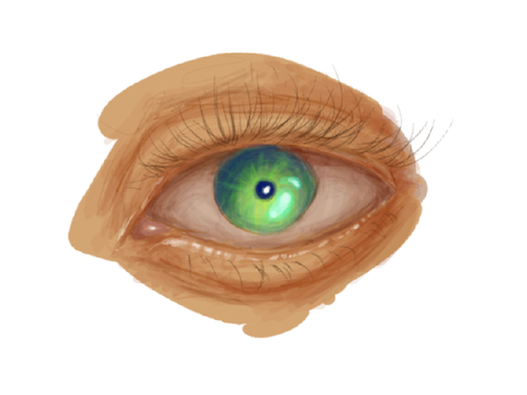 eye