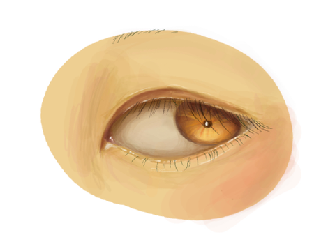 eye round two 