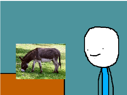 i love my DONKEY 