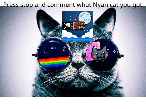 What Nyan cat did you get? (From my main account)