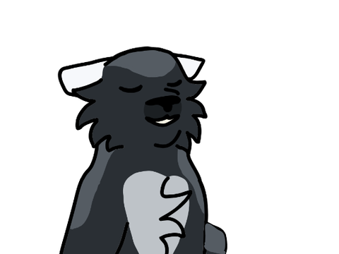 random animation