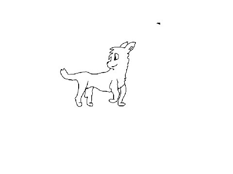 animation test