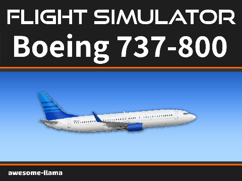 Flight Simulator / Boeing 737-800 / 2D remix-2