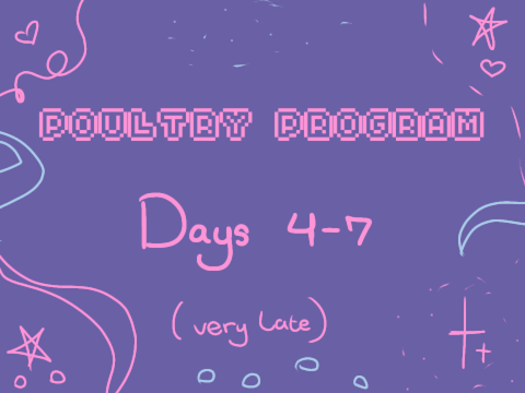 poultry program! 4 - 7 ( very late )