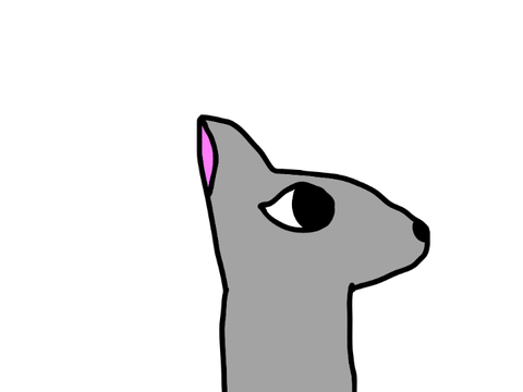 Wolf Blinks