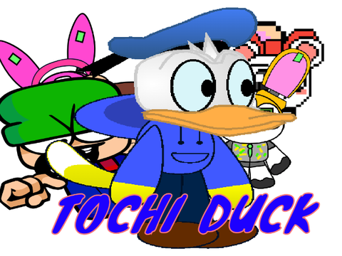 TOCHI DUCK