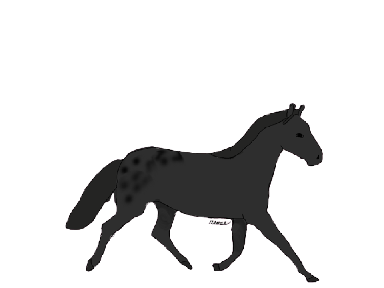 Starlight update