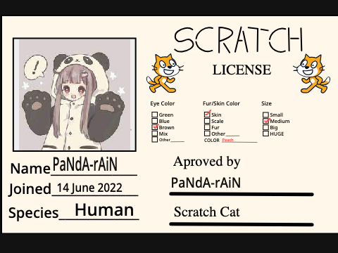 My scratch License