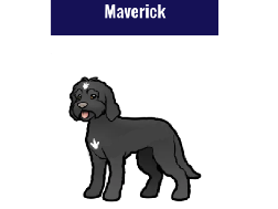My dog
