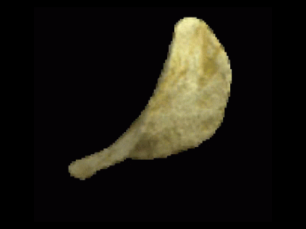 Chip