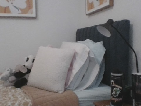 My new bedroom reveal