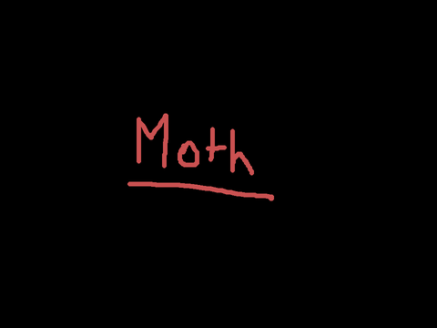 Moth DTAE