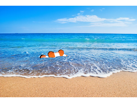 BEACHES AND SEASHELLS new 2023 !!MUST SEE!@FUN@WORLDS LEATING SCRATH PROJECTS