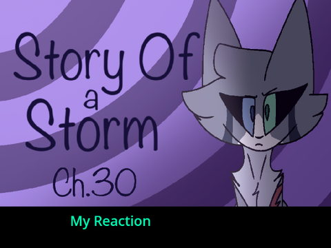 Story of a Storm : Chapter 30 reaction