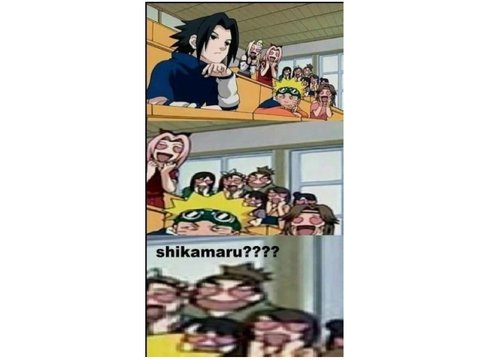 Sus