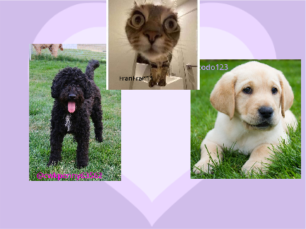 remix and add a picture of yourself as a dog breed Plz remix remix