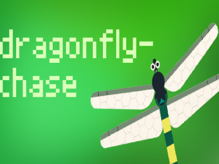 dragonfly-chase (project)