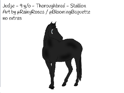 I got a new horse 