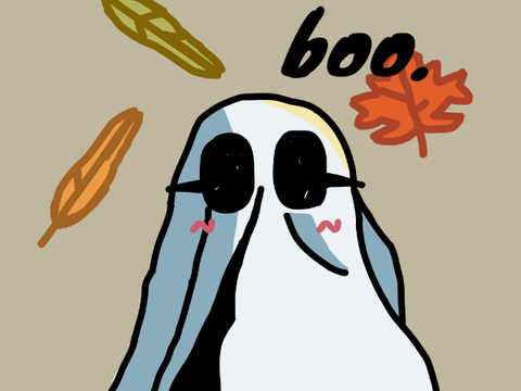 Fall PFPCE
