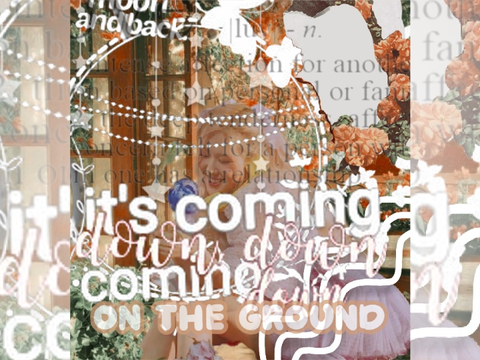 On The Ground- Rose