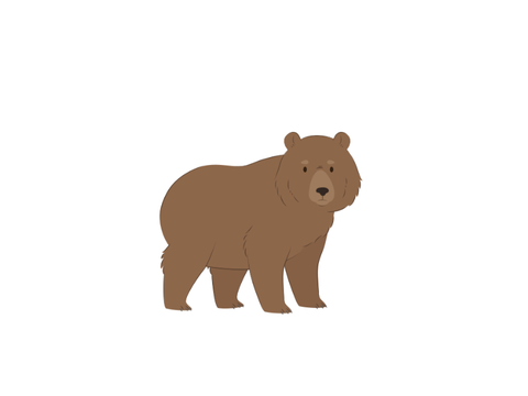 Bear with me now