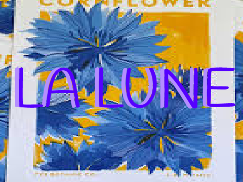 ☾ La Lune ☾ meme [GIFT]