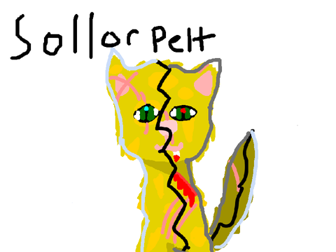 Sollorpelt
