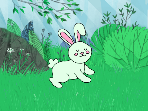 My Bunny
