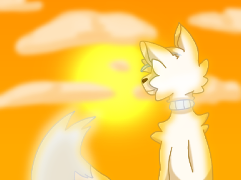 Final OTA payment!