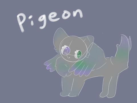 Random OC