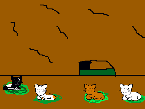 Rainclaw's beginning II