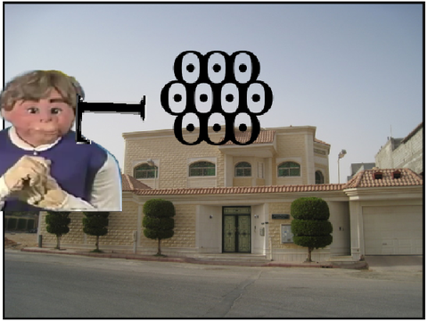 Ernie visits Saudi Arabia (NOT FOR KIDS)