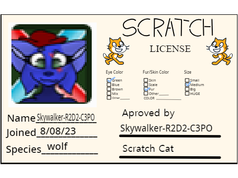 my scratch license card