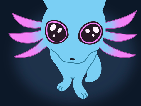 OwO